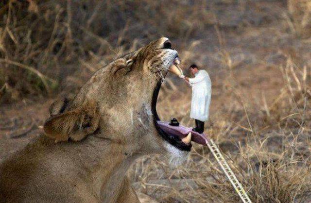 Daily Picdump
