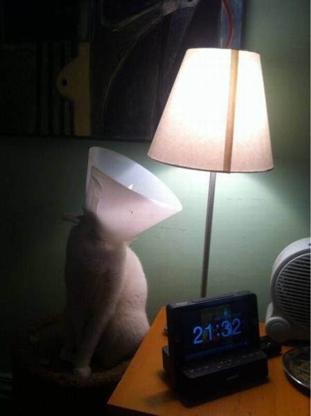 Daily Picdump