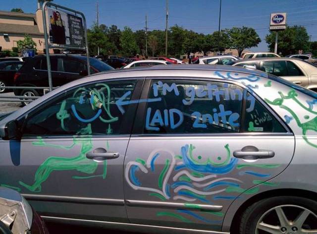 Daily Picdump