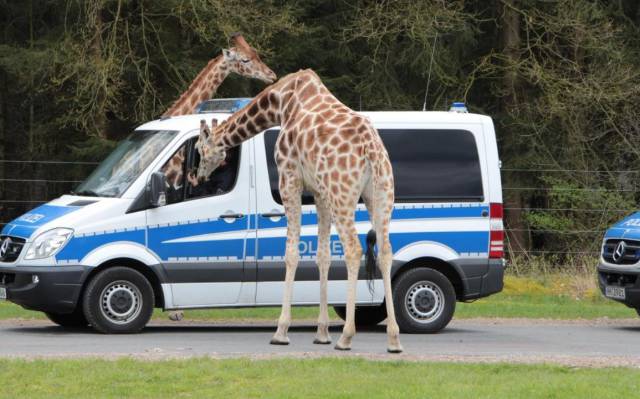 Daily Picdump
