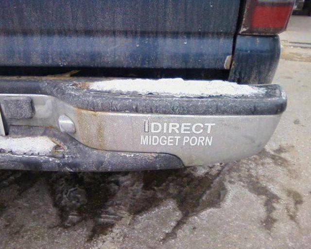 Daily Picdump