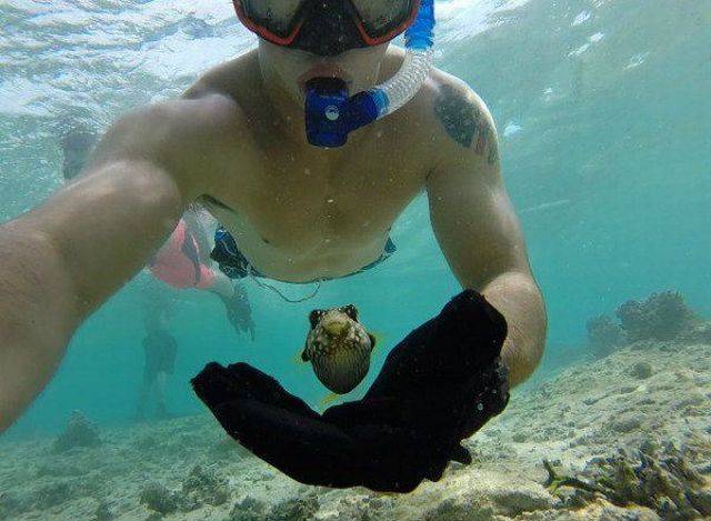 daily picdump 101 pics 22.html - 101 HD Photos | Premium Gallery 2016