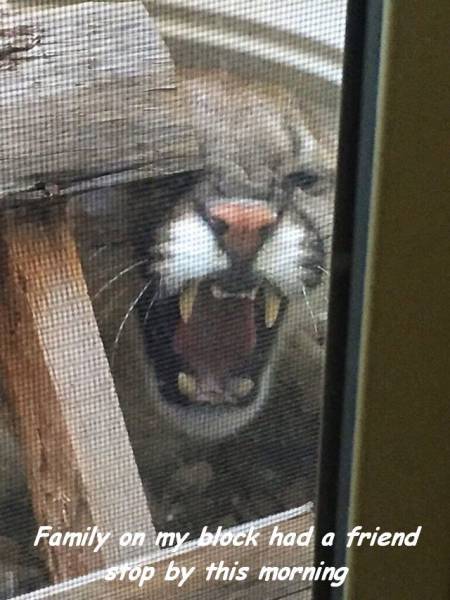 daily picdump 101 pics 22.html - 101 HD Photos | Premium Gallery 2016
