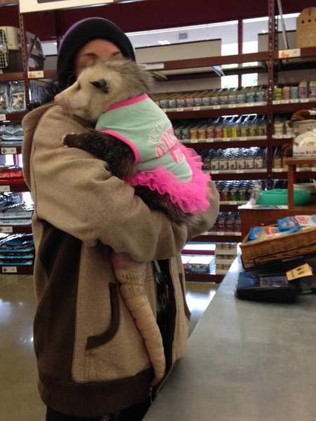 daily picdump 101 pics 22.html - 101 HD Photos | Premium Gallery 2016