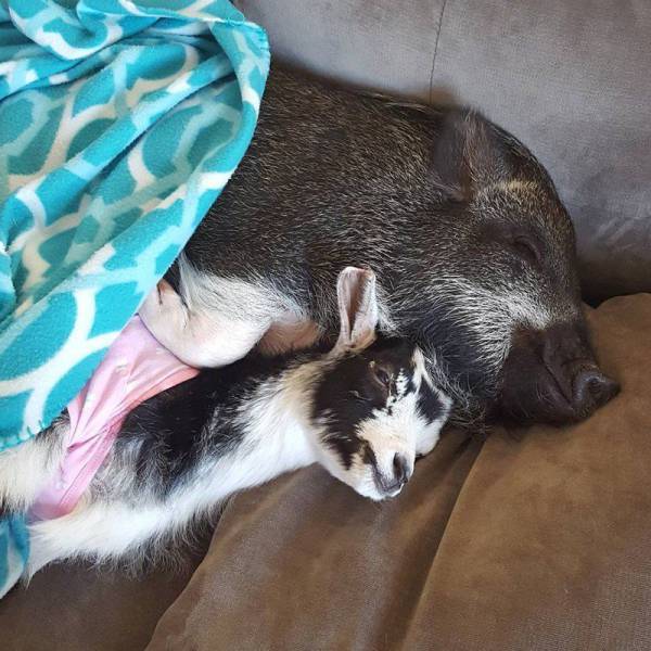 daily picdump 101 pics 22.html - 101 HD Photos | Premium Gallery 2016