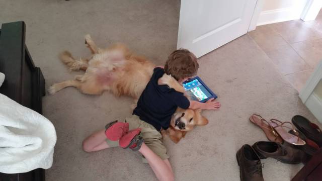 daily picdump 101 pics 22.html - 101 HD Photos | Premium Gallery 2016