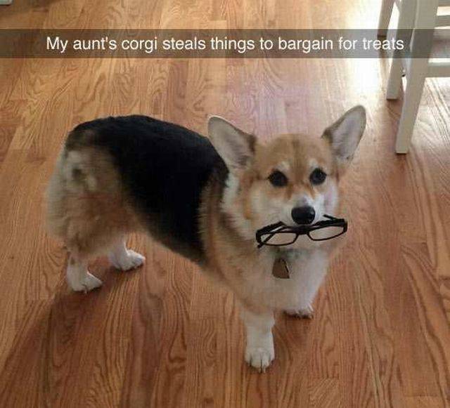 daily picdump 101 pics 22.html - 101 HD Photos | Premium Gallery 2016