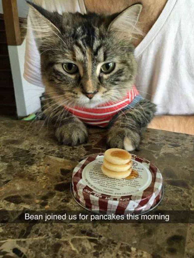 daily picdump 101 pics 22.html - 101 HD Photos | Premium Gallery 2016