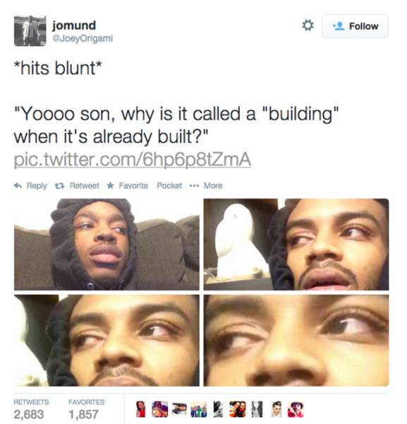 Hilarious Memes That Will Make Your Day