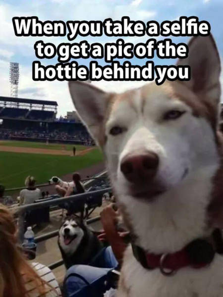 Hilarious Memes That Will Make Your Day