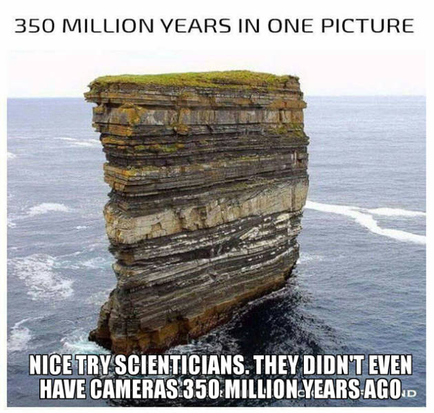 Hilarious Memes That Will Make Your Day