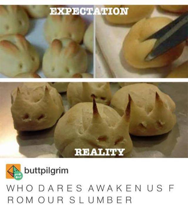 Hilarious Memes That Will Make Your Day