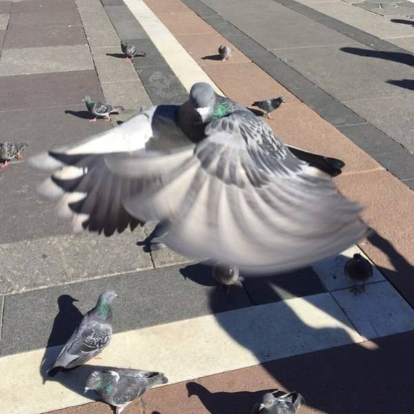 Morning Picdump