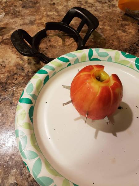 morning picdump 55 pics 3.html - 55 HD Photos | Premium Gallery 2016