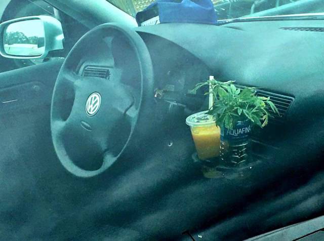 morning picdump 55 pics 3.html - 55 HD Photos | Premium Gallery 2016
