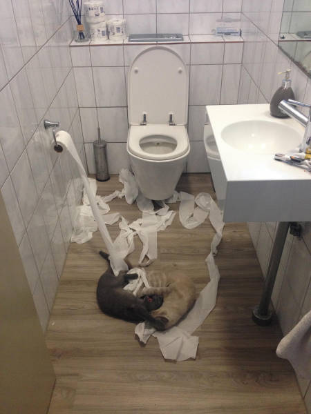 morning picdump 55 pics 3.html - 55 HD Photos | Premium Gallery 2016