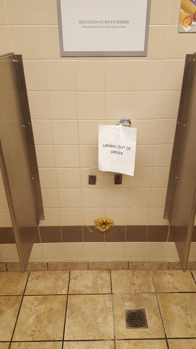 morning picdump 55 pics 3.html - 55 HD Photos | Premium Gallery 2016