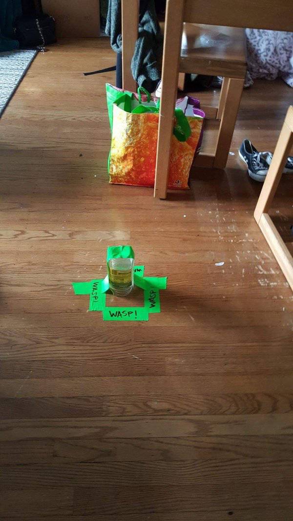 Morning Picdump