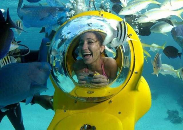 Daily Picdump