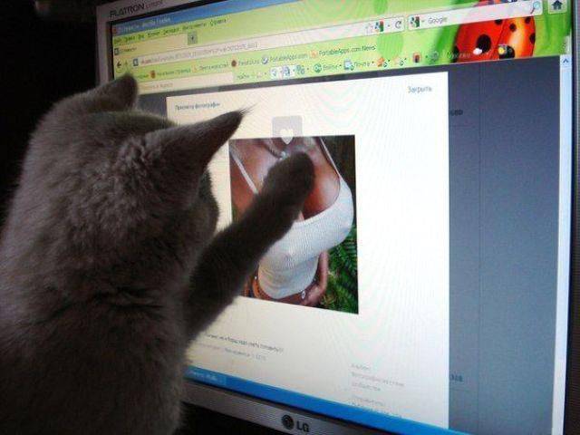 Daily Picdump