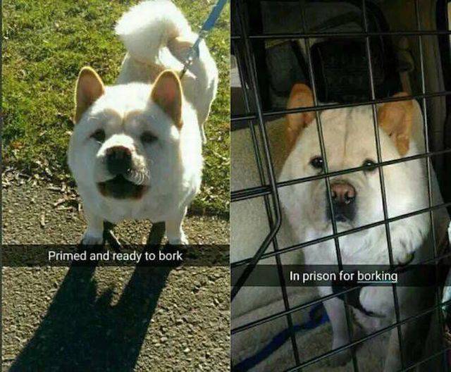 Daily Picdump