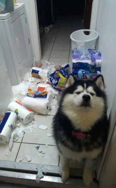 daily picdump 96 pics 10.html - 96 HD Photos | Premium Gallery 2016