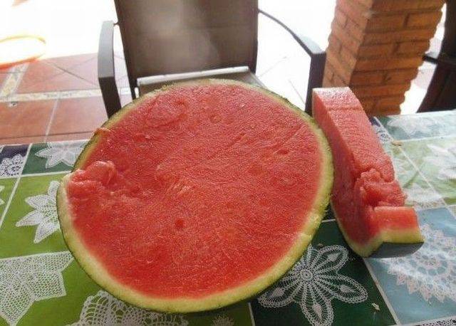 daily picdump 96 pics 10.html - 96 HD Photos | Premium Gallery 2016
