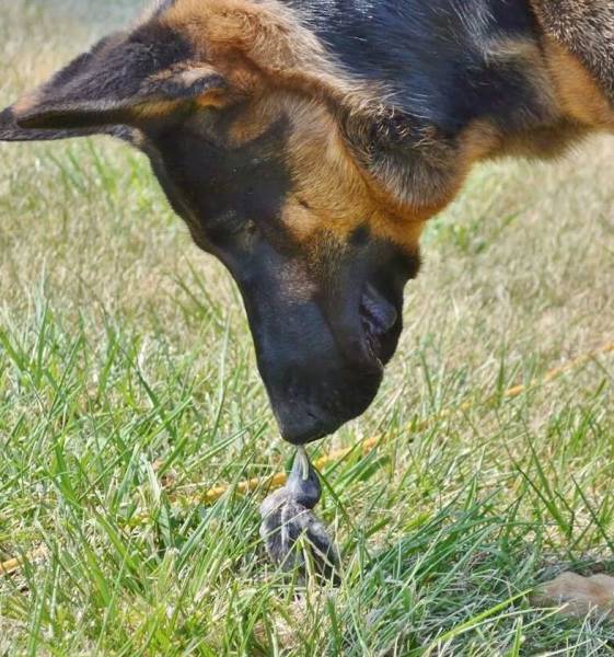 daily picdump 96 pics 10.html - 96 HD Photos | Premium Gallery 2016
