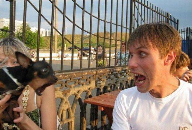 daily picdump 96 pics 10.html - 96 HD Photos | Premium Gallery 2016