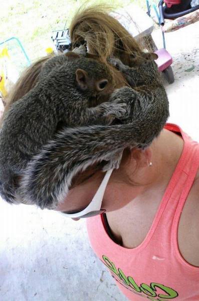 daily picdump 96 pics 10.html - 96 HD Photos | Premium Gallery 2016