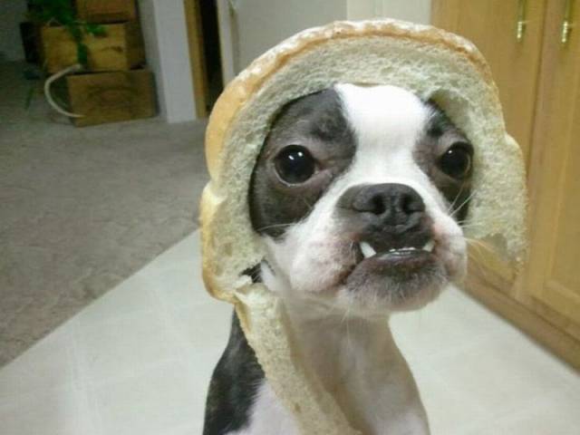 daily picdump 96 pics 10.html - 96 HD Photos | Premium Gallery 2016