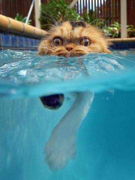 daily picdump 96 pics 10.html - 96 HD Photos | Premium Gallery 2016