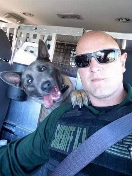 daily picdump 96 pics 10.html - 96 HD Photos | Premium Gallery 2016