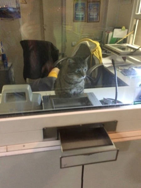 Morning Picdump