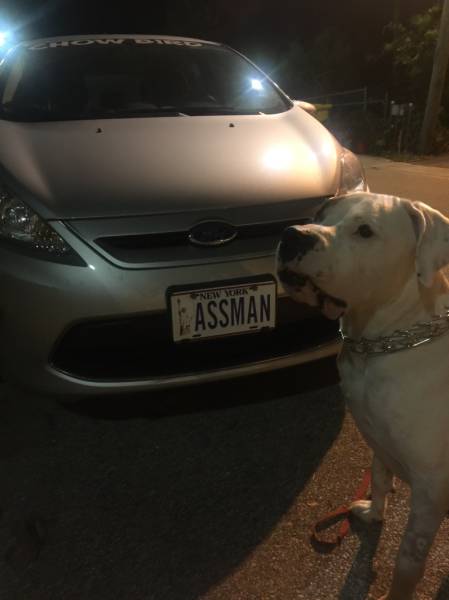 morning picdump 53 pics 5.html - 53 HD Photos | Premium Gallery 2016