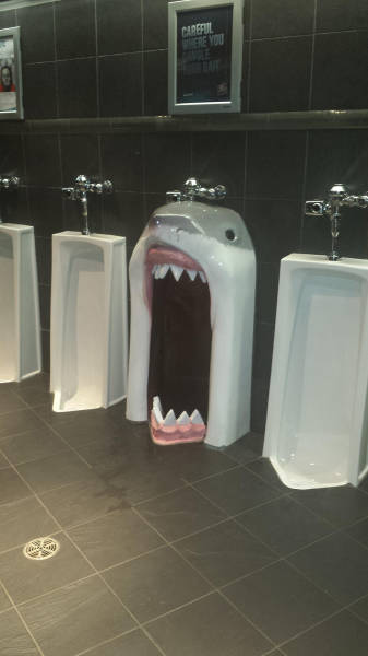 morning picdump 53 pics 5.html - 53 HD Photos | Premium Gallery 2016