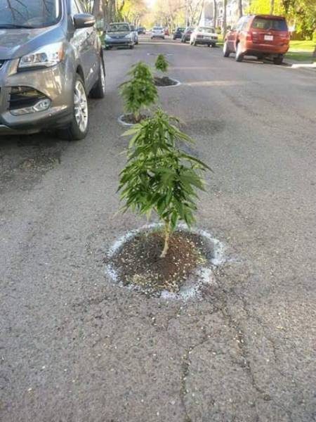 morning picdump 53 pics 5.html - 53 HD Photos | Premium Gallery 2016