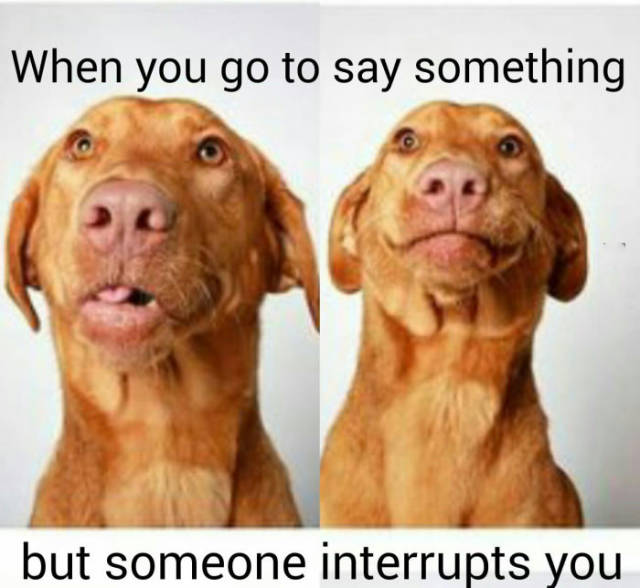 Funny Picdump