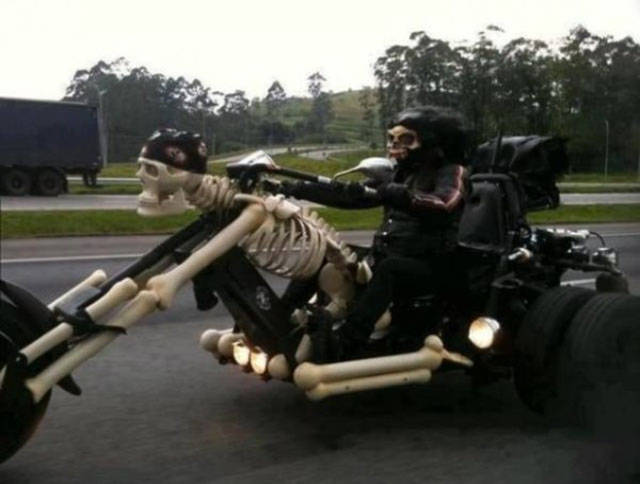 morning picdump 51 pics 11.html - 51 HD Photos | Premium Gallery 2016