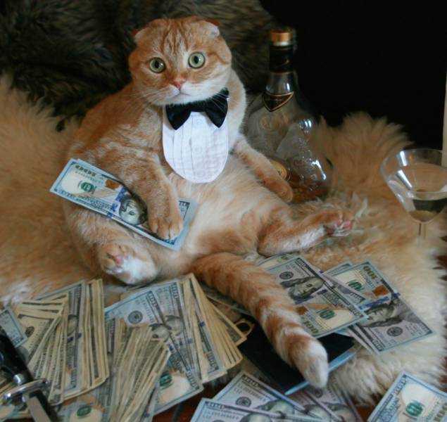 morning picdump 51 pics 11.html - 51 HD Photos | Premium Gallery 2016