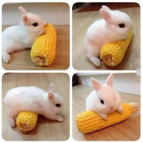 morning picdump 51 pics 11.html - 51 HD Photos | Premium Gallery 2016