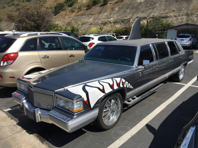 morning picdump 51 pics 11.html - 51 HD Photos | Premium Gallery 2016