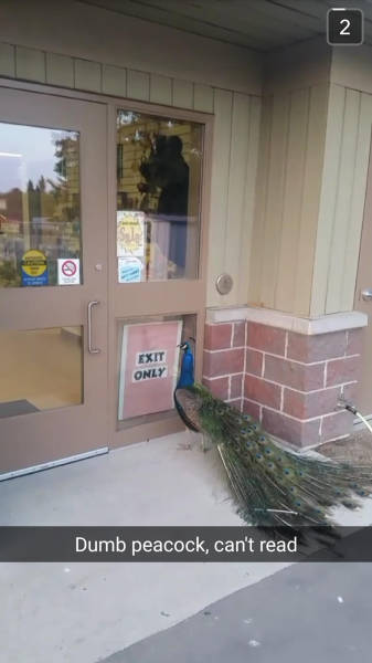morning picdump 52 pics 21.html - 52 HD Photos | Premium Gallery 2016