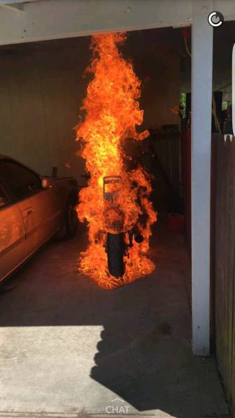Morning Picdump