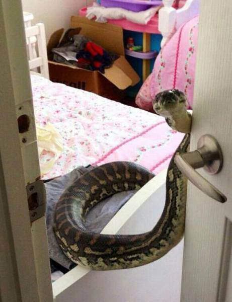 morning picdump 55 pics 8.html - 55 HD Photos | Premium Gallery 2016