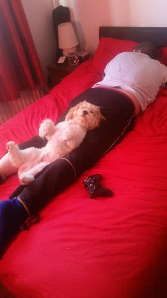 morning picdump 55 pics 8.html - 55 HD Photos | Premium Gallery 2016