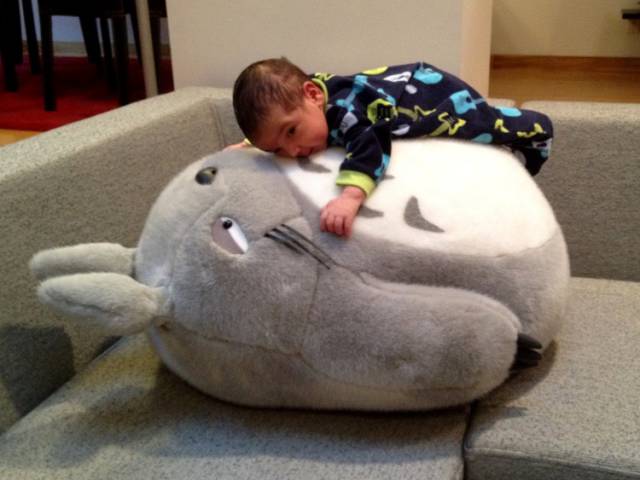 morning picdump 55 pics 8.html - 55 HD Photos | Premium Gallery 2016
