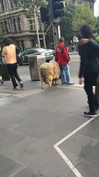 morning picdump 54 pics 9.html - 54 HD Photos | Premium Gallery 2016