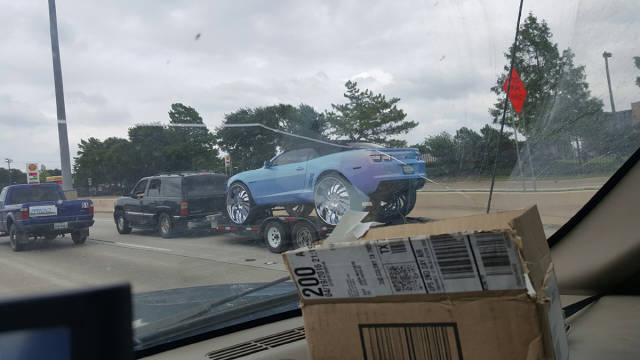 Morning Picdump