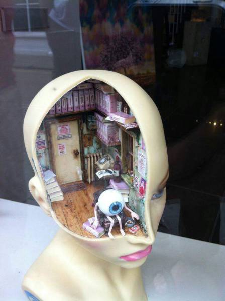 Morning Picdump